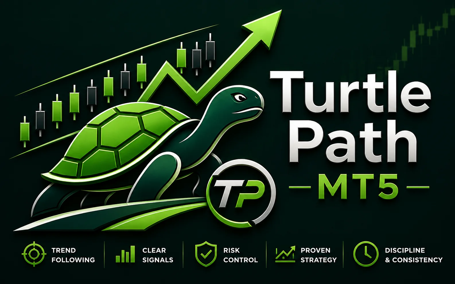 Turtle Path